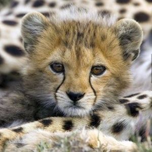 Meet your Posher, Stacy